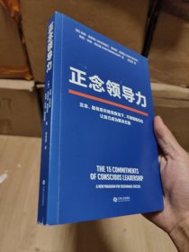 正念领导力（经纬中国创始合伙人邵亦波作序！一本从心出发的领导力之书！）