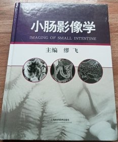 小肠影像学