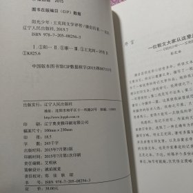 阳光少年 王充闾文学评传