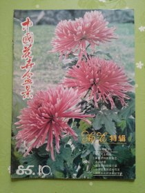 中国花卉盒景：1985.10