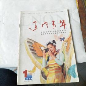 辽宁青年（1998年。19本合售不拆零。少3、15、18、22、24）