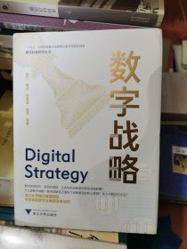 数字战略