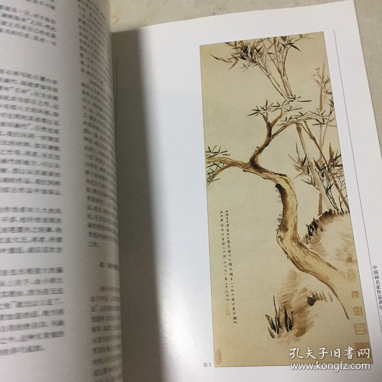 中国画名家作品真伪.吴湖帆