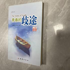 青春的歧途