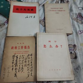 列宁怎么办？论十大关系 政府工作报告，华国锋。