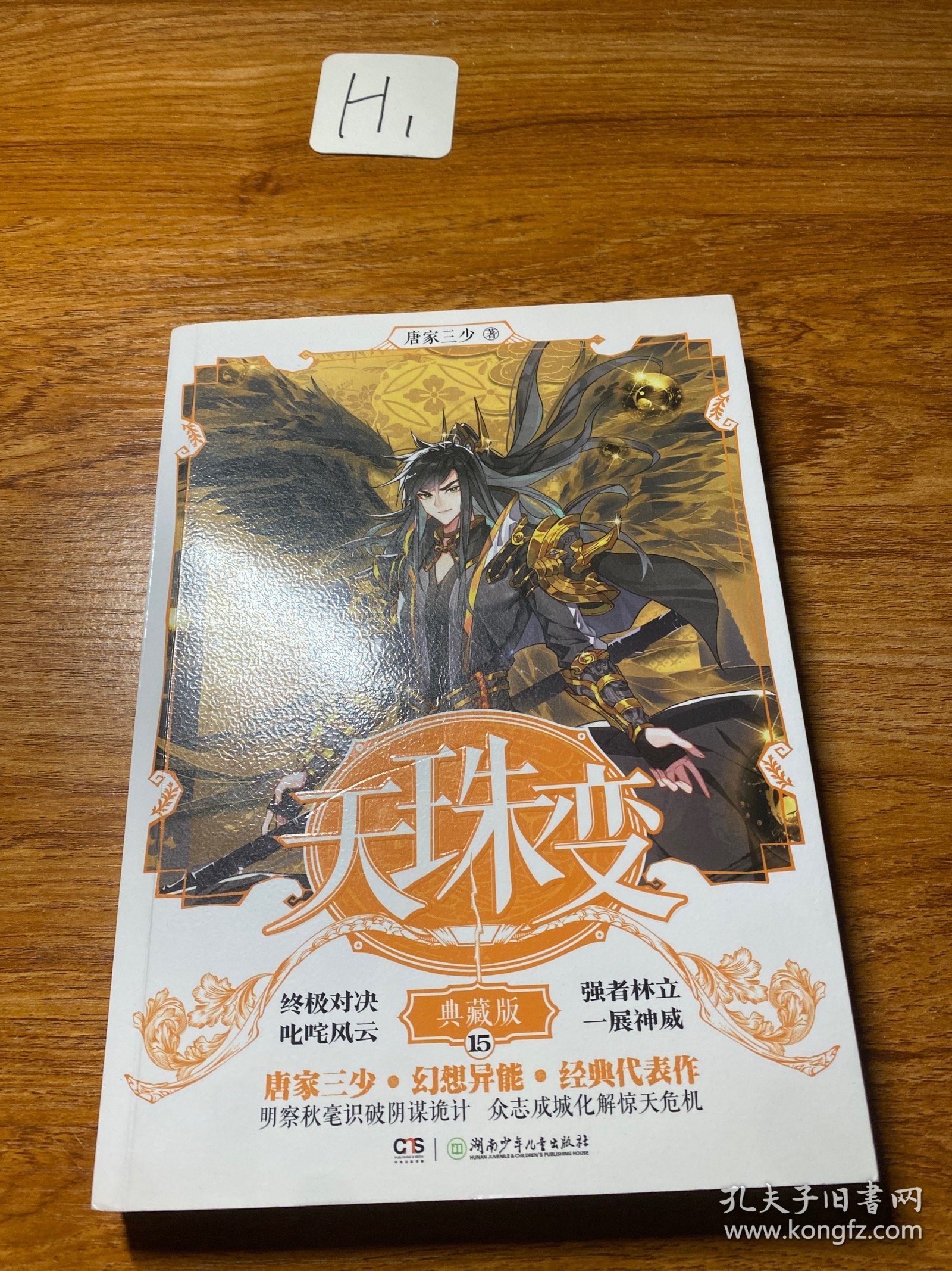 天珠变典藏版15