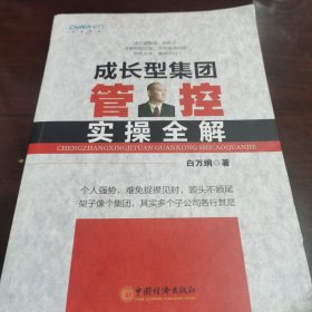 成长型集团管控实操全解