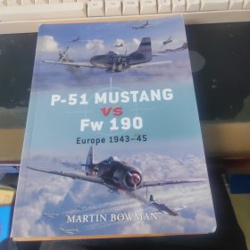 P-51 MUSTANG VS FW 190