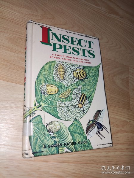 Insect Pests Zim and Fichter 英文版 精装 馆藏书 彩色版