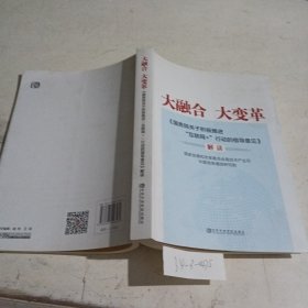 大融合 大变革：《国务院关于积极推进“互联网+”行动的指导意见》解读