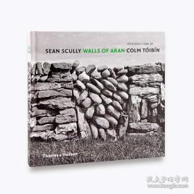 Sean Scully肖恩·斯库利摄影集 Walls of Aran阿兰城墙