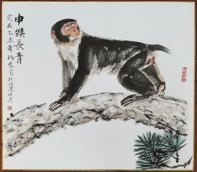 著名画猴大家曹俊义老师卡纸作品（有合影，保真）