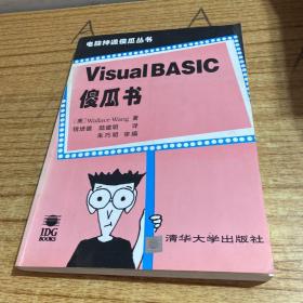 Visual BASIC傻瓜书