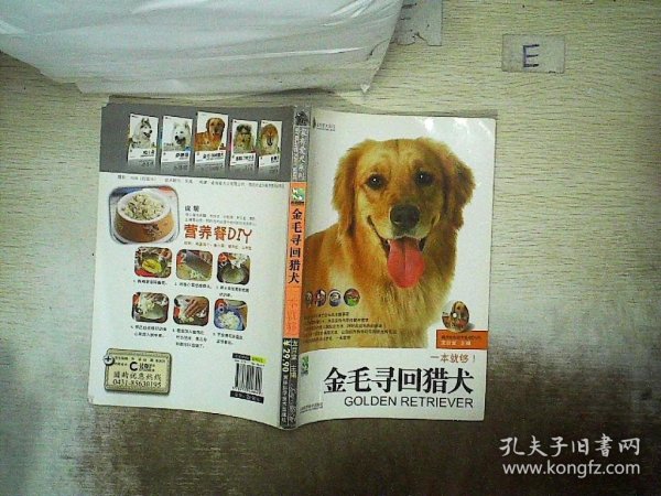 金毛寻回猎犬