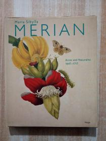 Maria Sibylla Merian : Artist And Naturalist
