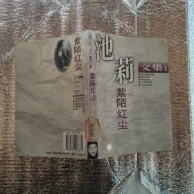 池莉文集