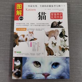 猫：爱猫养护实用手册