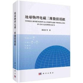 地球物理电磁三维数值模拟