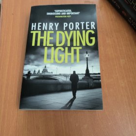 HENRY PORTER THE DYING LIGHT