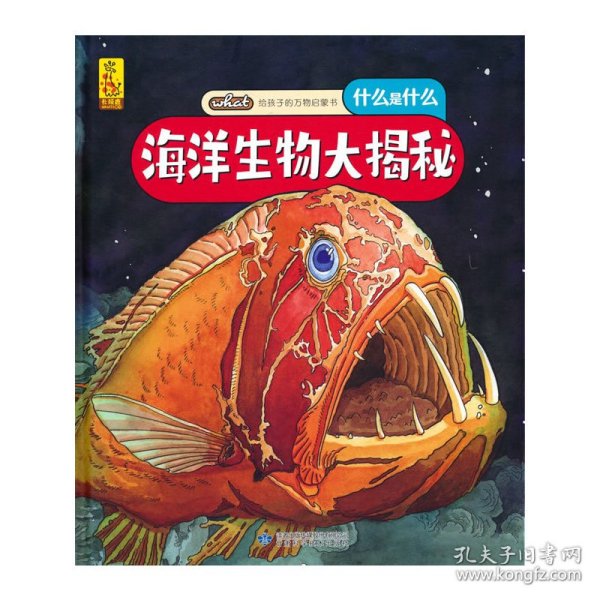 给孩子的万物启蒙书：海洋生物大揭秘