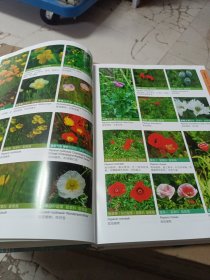 上海植物图鉴·草本卷