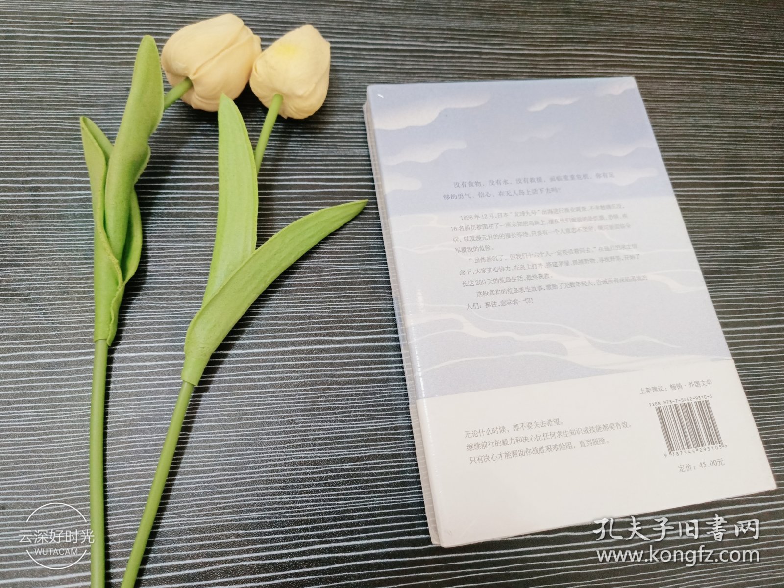 无人岛（挺住，意味着一切！畅销日本50年的成长小说经典）