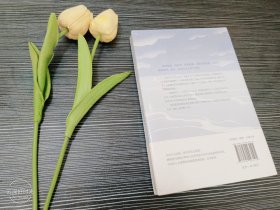 无人岛(挺住,意味着一切!畅销日本50年的成长小说经典)