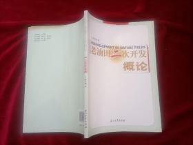 老油田二次开发概论（16开）