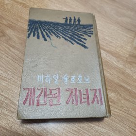 被开垦的处女地 朝鲜文