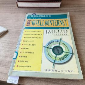 计算机实用操作丛书网络基础
NOVELL和INTERNET