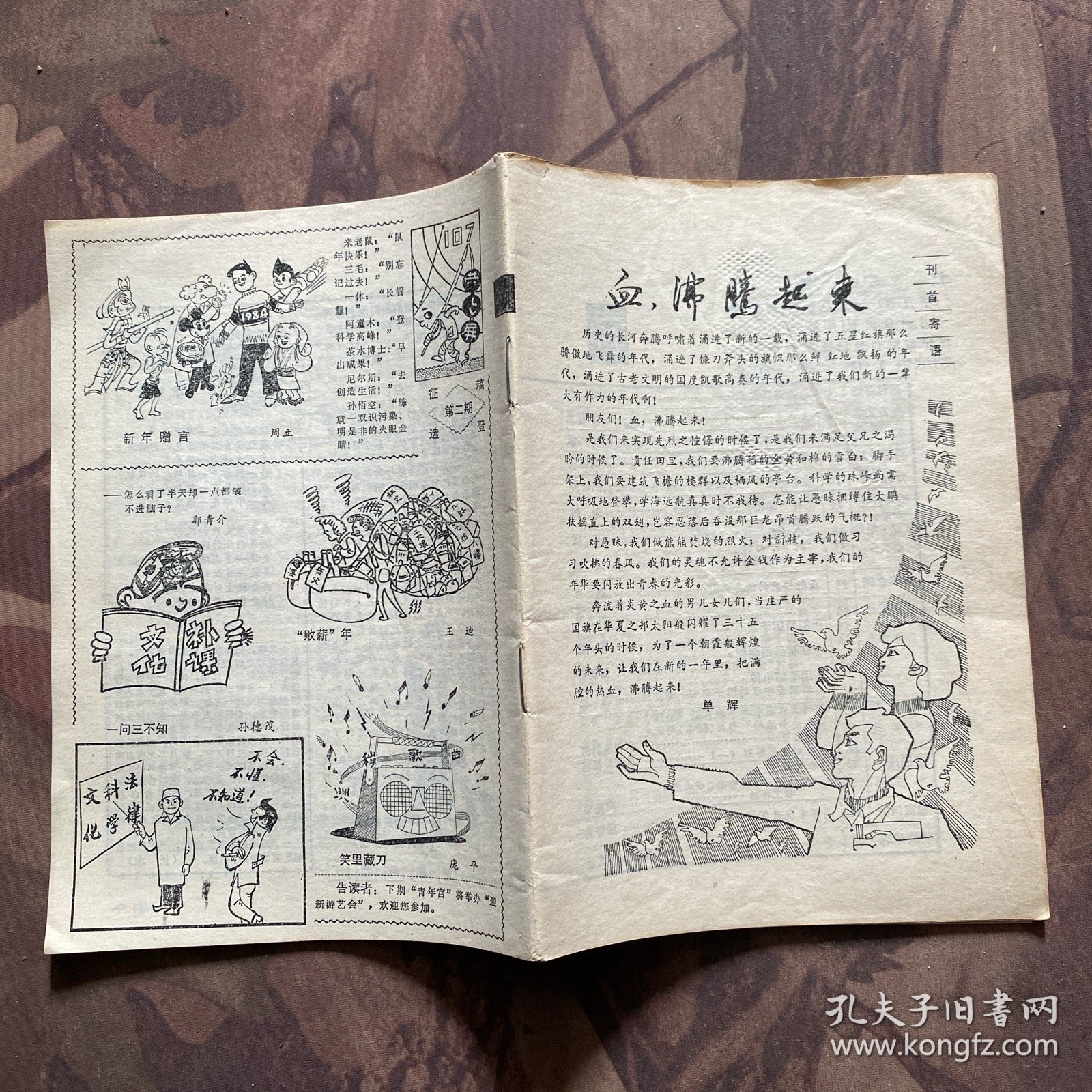辽宁青年（1984年全24册 缺第9，16期两册）22册合售