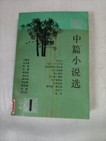 中篇小说选1992年1