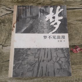 梦不见浪漫:汪诚散文选（汪诚签赠本）