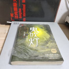 鬼吹灯5：黄皮子坟