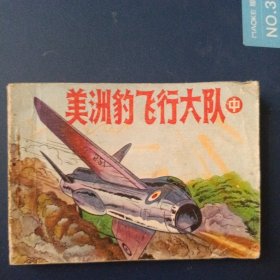 美洲豹飞行大队 中
