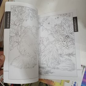 工笔画线描动物画谱 名猫篇