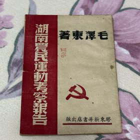 湖南农民运动考察报告