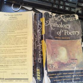 The Norton Anthology of Poetry THIRD EDITION 英文原版书