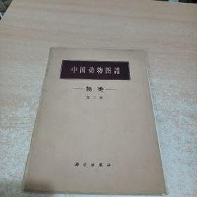 中国动物图谱 鸟类 第三册（雀形目）