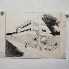 著名艺术家、华中师范大学美术学院副教授仇帝线描画