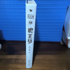 动物小说大王沈石溪经典作品·荣誉珍藏版：狼王梦