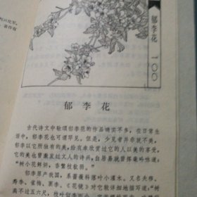古人咏百花,高兴选注