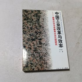 中國工業(yè)改革與效率:國有企業(yè)與非國有企業(yè)比較研究