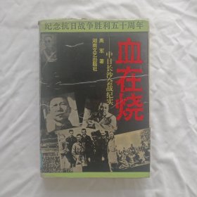 血在烧——中日长沙会战纪实