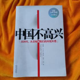 中国不高兴：大时代大目标及我们的内忧外患