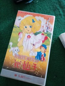 日本卡通新视点 花仙子（25张 VCD 光盘）