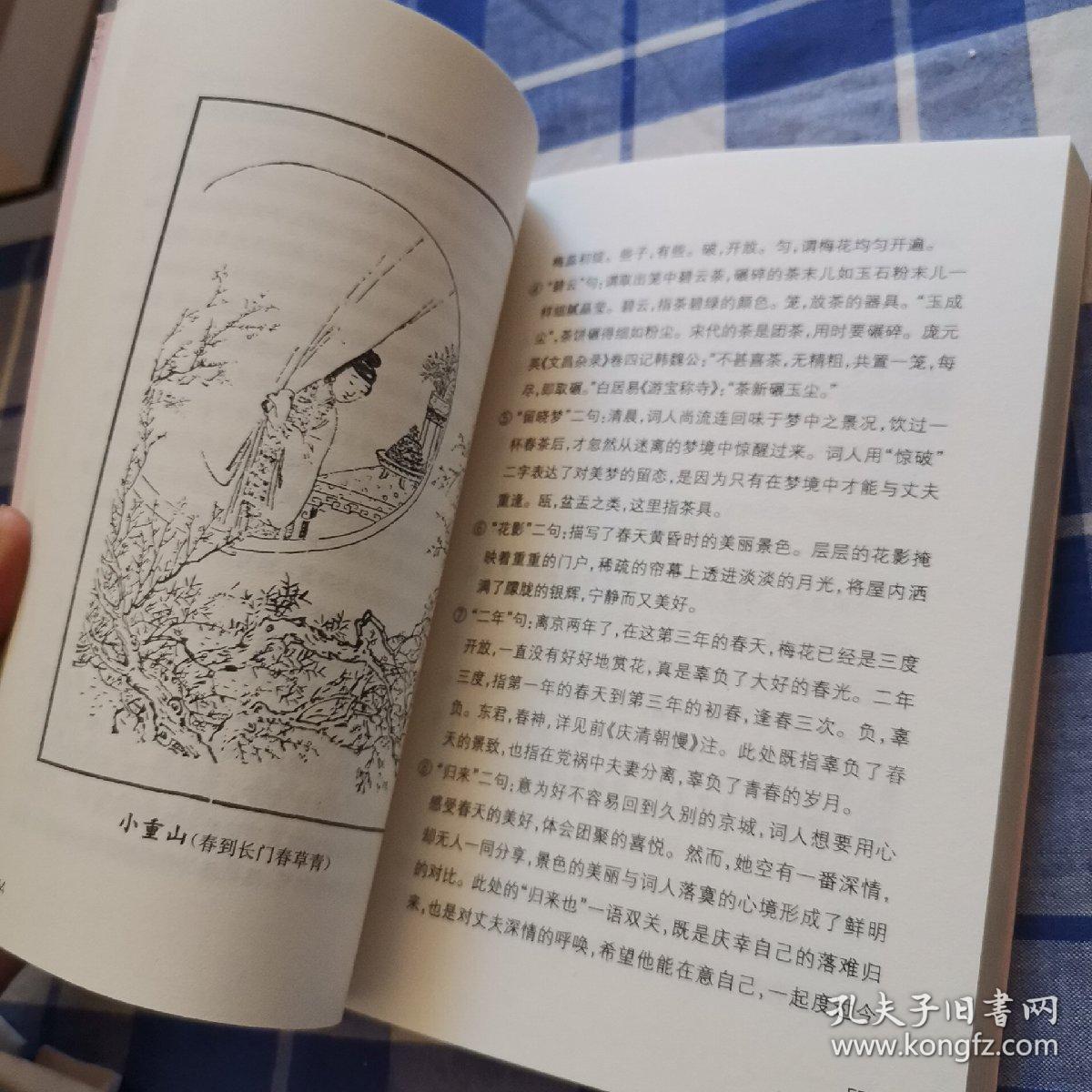 此情无计可消除：李清照词（恋上古诗词·版画插图版）