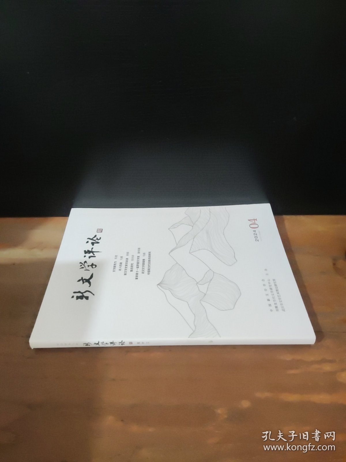 点击查看原图 新文学评论 2024年第4期