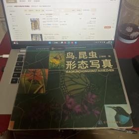 鸟昆虫形态写真