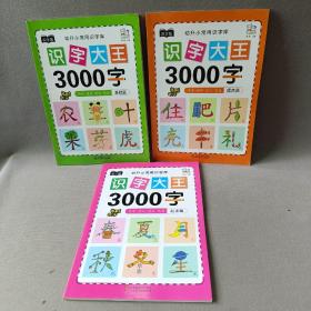 幼儿学前识字大王3000字全套6册 幼小衔接一日一练全套识字教材 幼儿园大班中班小班一年级3-4-5-6岁幼升小看图识字神器儿童启蒙早教认字书